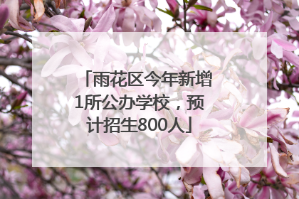 雨花区今年新增1所公办学校，预计招生800人