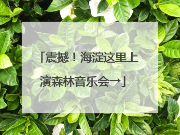 震撼！海淀这里上演森林音乐会→