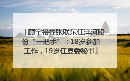 顾宇接棒张联东任洋河股份“一把手”：18岁参加工作，19岁任县委秘书