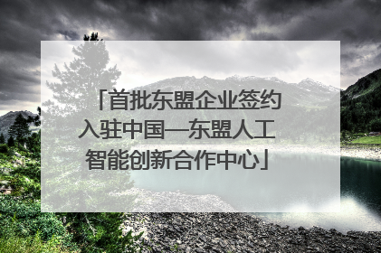 首批东盟企业签约入驻中国—东盟人工智能创新合作中心