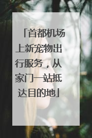 首都机场上新宠物出行服务，从家门一站抵达目的地