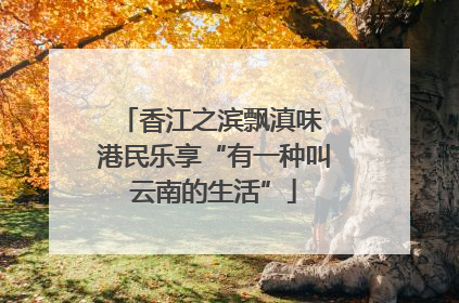 香江之滨飘滇味 港民乐享“有一种叫云南的生活”