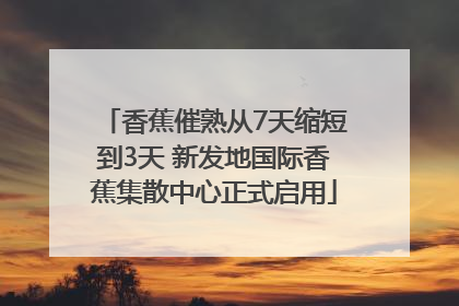 香蕉催熟从7天缩短到3天 新发地国际香蕉集散中心正式启用