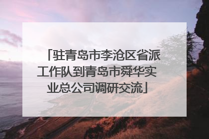 驻青岛市李沧区省派工作队到青岛市舜华实业总公司调研交流
