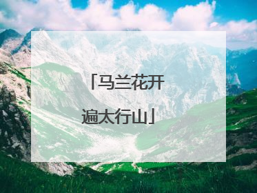 马兰花开遍太行山