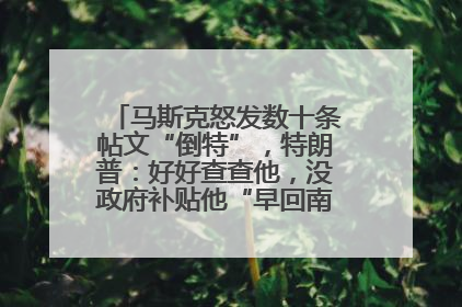 马斯克怒发数十条帖文“倒特”，特朗普：好好查查他，没政府补贴他“早回南非老家”了