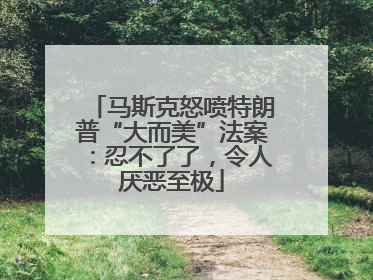 马斯克怒喷特朗普“大而美”法案：忍不了了，令人厌恶至极