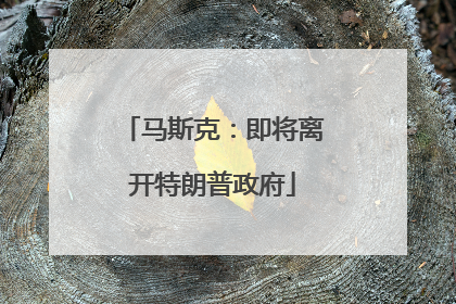 马斯克：即将离开特朗普政府