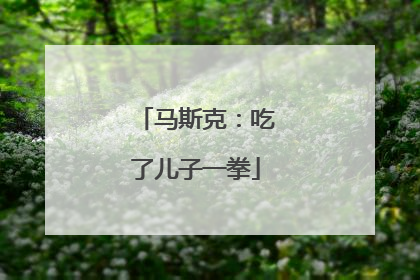 马斯克：吃了儿子一拳
