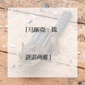 马斯克：我进退两难