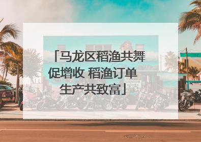 马龙区稻渔共舞促增收 稻渔订单生产共致富