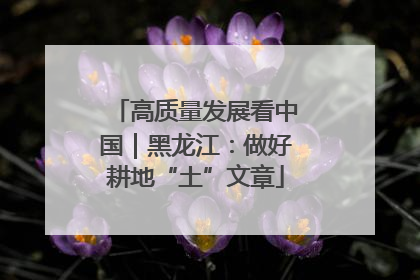 高质量发展看中国｜黑龙江：做好耕地“土”文章