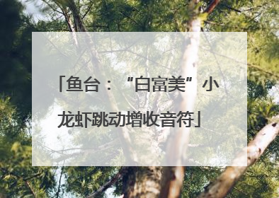 鱼台：“白富美”小龙虾跳动增收音符