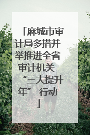 麻城市审计局多措并举推进全省审计机关 “三大提升年” 行动