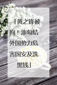 黄之锋被拘！涉勾结外国势力危害国安及洗黑钱
