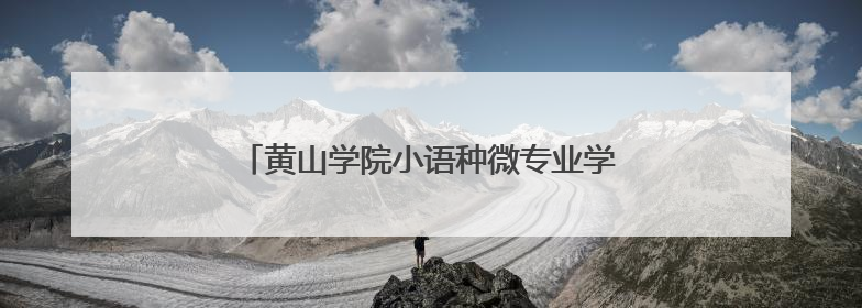 黄山学院小语种微专业学生助力景区外语讲解服务