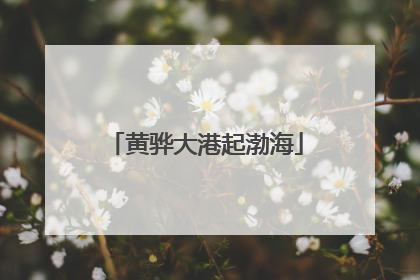 黄骅大港起渤海