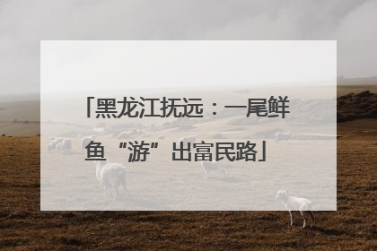 黑龙江抚远：一尾鲜鱼“游”出富民路