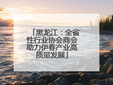 黑龙江：全省性行业协会商会助力伊春产业高质量发展