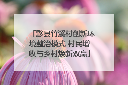 黟县竹溪村创新环境整治模式 村民增收与乡村焕新双赢