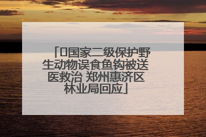 ﻿国家二级保护野生动物误食鱼钩被送医救治 郑州惠济区林业局回应