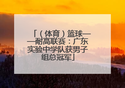 （体育）篮球——耐高联赛：广东实验中学队获男子组总冠军