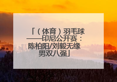 （体育）羽毛球——印尼公开赛：陈柏阳/刘毅无缘男双八强