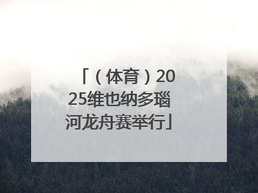 （体育）2025维也纳多瑙河龙舟赛举行