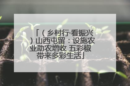 （乡村行·看振兴）山西屯留：设施农业助农增收 五彩椒带来多彩生活