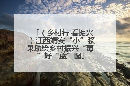 （乡村行·看振兴）江西靖安“小”浆果助绘乡村振兴“莓”好“蓝”图