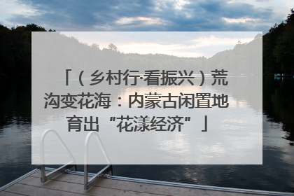 （乡村行·看振兴）荒沟变花海：内蒙古闲置地育出“花漾经济”