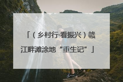 （乡村行·看振兴）赣江畔滩涂地“重生记”