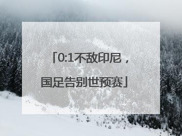 0:1不敌印尼，国足告别世预赛