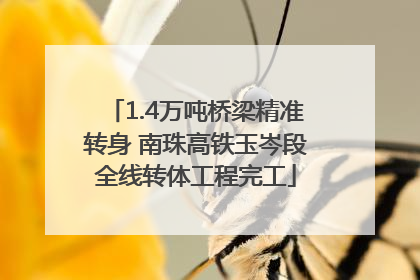 1.4万吨桥梁精准转身 南珠高铁玉岑段全线转体工程完工