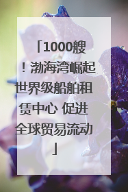 1000艘！渤海湾崛起世界级船舶租赁中心 促进全球贸易流动