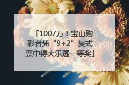 1007万！宝山购彩者凭“9+2”复式票中得大乐透一等奖
