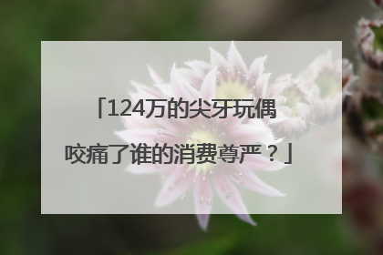 124万的尖牙玩偶 咬痛了谁的消费尊严？