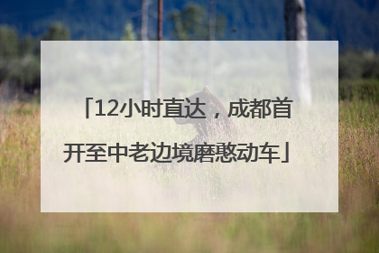 12小时直达，成都首开至中老边境磨憨动车