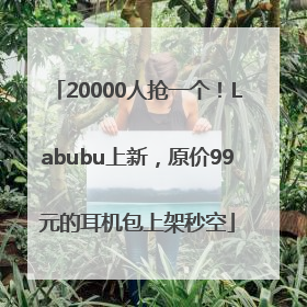 20000人抢一个！Labubu上新，原价99元的耳机包上架秒空