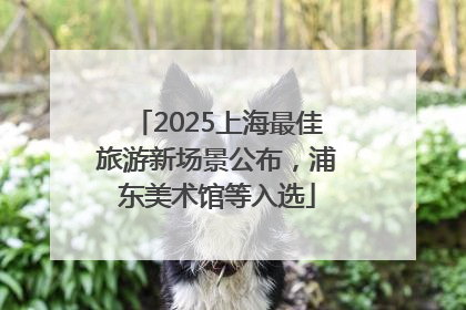 2025上海最佳旅游新场景公布，浦东美术馆等入选