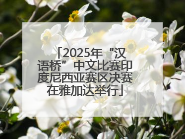 2025年“汉语桥”中文比赛印度尼西亚赛区决赛在雅加达举行