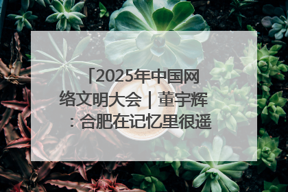 2025年中国网络文明大会｜董宇辉：合肥在记忆里很遥远也很亲切