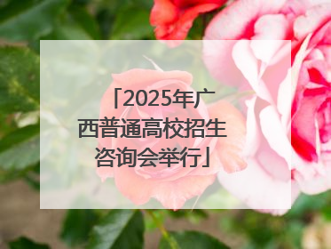 2025年广西普通高校招生咨询会举行
