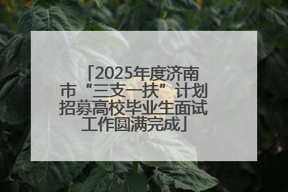 2025年度济南市“三支一扶”计划招募高校毕业生面试工作圆满完成