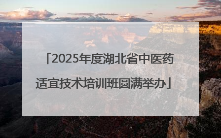 2025年度湖北省中医药适宜技术培训班圆满举办