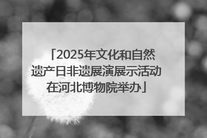 2025年文化和自然遗产日非遗展演展示活动在河北博物院举办