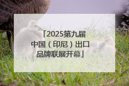 2025第九届中国（印尼）出口品牌联展开幕