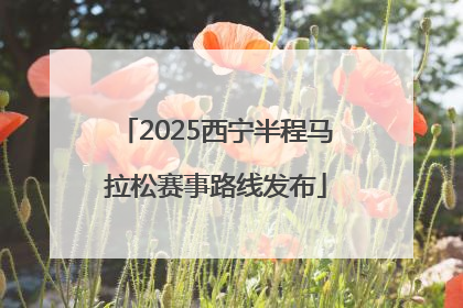 2025西宁半程马拉松赛事路线发布