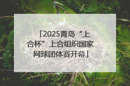 2025青岛“上合杯”上合组织国家网球团体赛开幕