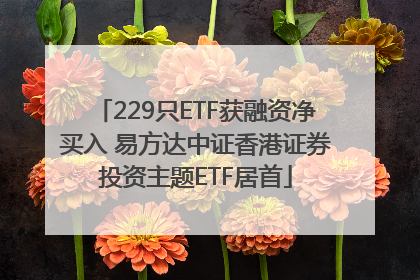 229只ETF获融资净买入 易方达中证香港证券投资主题ETF居首